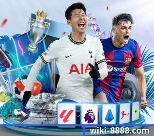 维基体育 APP